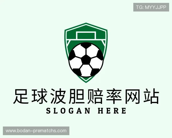 认识波胆赔率网站